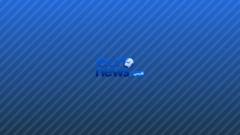 تکانه‌ای شگفت‌انگیز: تخم‌مرغ‌های فسیلی بزرگ‌ترین دایناسورها در جایی غیرمنتظره کشف شد