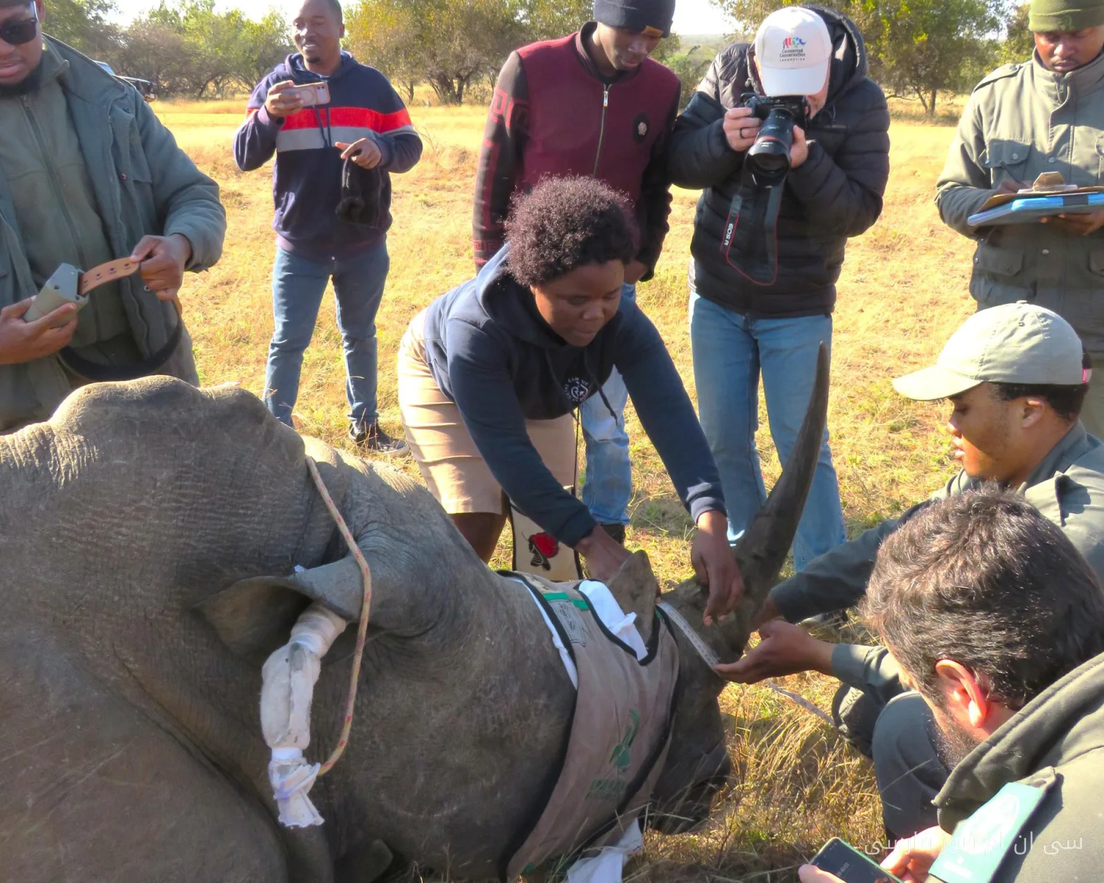 Die Rolle der Technologie im Schutz der Wildtiere: Eine neue Welt in Afrika